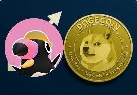 504d0f4e38d731e6264ff9008e28deb1_1784906975_835.jpg